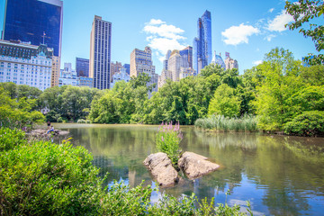 Central Park 