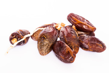 Dates on white background.
