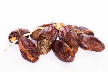 Dates on white background.