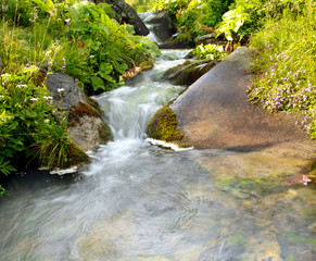 Natural mountain stream among stones and green plants