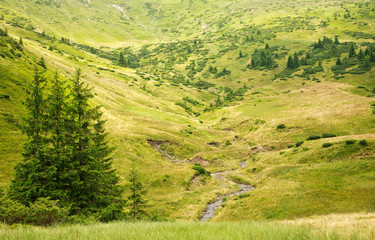 Fototapeta na wymiar Natural green park on a hill, beautiful summer landscape