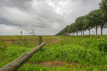 Nimbus clouds over a landscape in summer