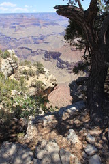 Parco nazionale del Gran Canyon  USA