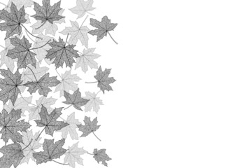 Dry autumn maple leaves silhouettes background