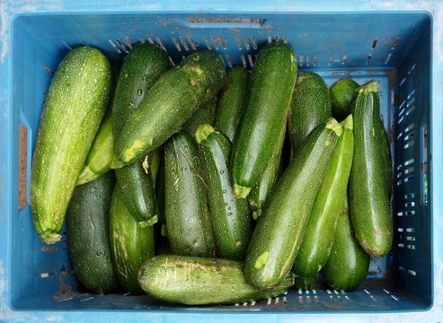 gourgette