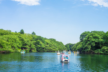 Obraz premium Park Inokashira