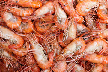 boiled giant freshwater prawn