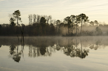 Lac