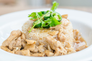 Chicken with brown sauce on rice