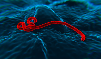 Ebola wirus 2 - obrazy, fototapety, plakaty