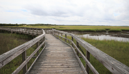 Fototapeta na wymiar Swamp Boardwalk