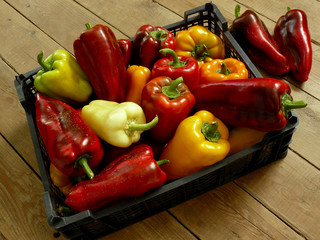 fresh harvested sweet peppers in plastic container