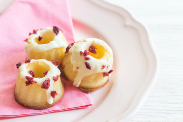 Mini Guglhupf mit Cranberries