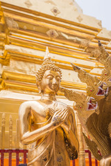 Golden Buddha in Temple Chiang Mai Asia Thailand