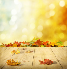autumn background © Lilya