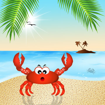 crab cartoon
