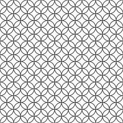 Fototapeta premium Wired Fence. Black Ring Cage on White Background. Vector