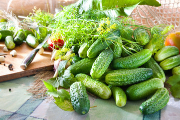 cucumbers on the table with spices