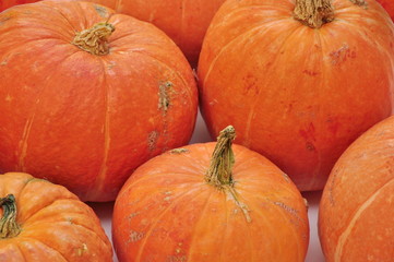 Pumpkin background