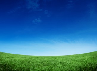Fototapeta na wymiar Green field under blue sky