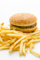 Hamburger french fries