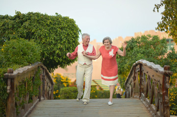 Fototapeta na wymiar Elderly couple having fun on the walk