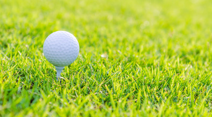 Golf ball on green grass