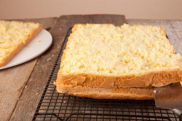 slicing cake sponge