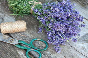 collecting lavender