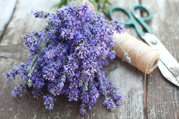 collecting lavender