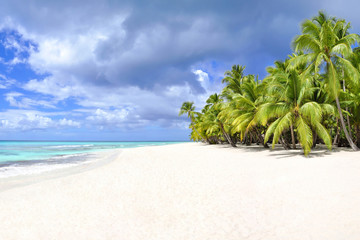 Palm trees and tropical beach