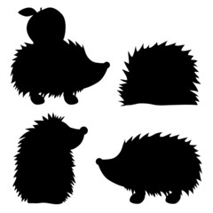 Igel © frilled_dragon