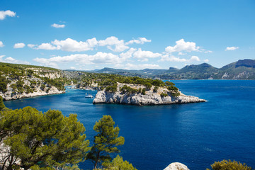 Fototapeta na wymiar Calanques of Port Pin in Cassis, Provence, France