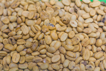 Balinese coffee beans closed up