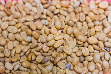 Balinese coffee beans closed up