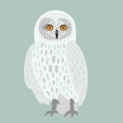 Fototapeta premium white owl decorative with big eyes isolated