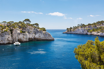 Calanques of Port Pin in Cassis, Provence, France - obrazy, fototapety, plakaty