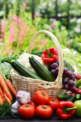 Variety of fresh organic vegetables in the garden