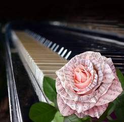 Music symbol. Beautiful pink rose with note on the piano keyboar