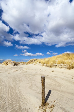 Vor den D&uuml;nen
