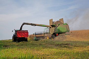 Obraz premium Harvester
