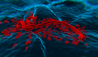 Ebola wirus 3 - obrazy, fototapety, plakaty