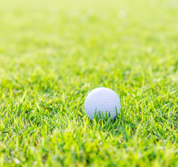 Golf ball on green grass