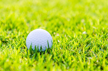 Golf ball on green grass