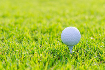 Golf ball on green grass