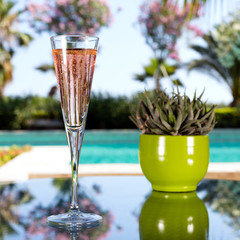 Glass of champagne