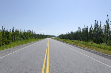 Fototapeta na wymiar TransCanada highway