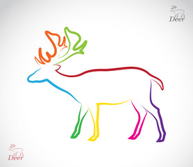 Vector image of an deer