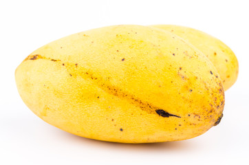 Yellow mango