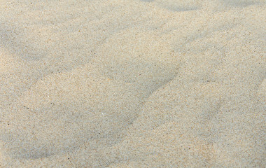 sand dunes on beach for background